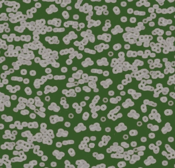 Wykładzina dywanowe FORBO 990403 Bacteria Flotex Z Nadrukiem Cyfrowym - Rolka - 4.3  mm