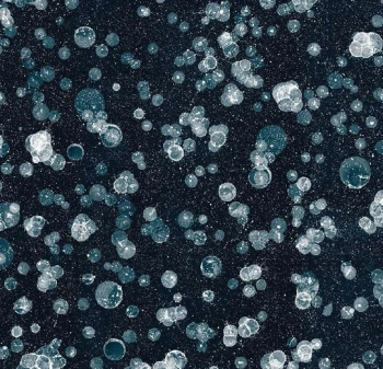 Wykładzina dywanowe FORBO 001592 Starwalk Jade Flotex Z Nadrukiem Cyfrowym - Rolka - 4.3  mm