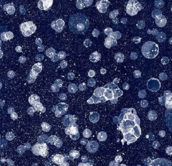 Wykładzina dywanowe FORBO 001593 Starwalk Blue Flotex Z Nadrukiem Cyfrowym - Rolka - 4.3  mm