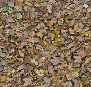 Wykładzina dywanowe FORBO 000509FR Autumn leaves - green Flotex Vision FR - Rolka - 3.3  mm