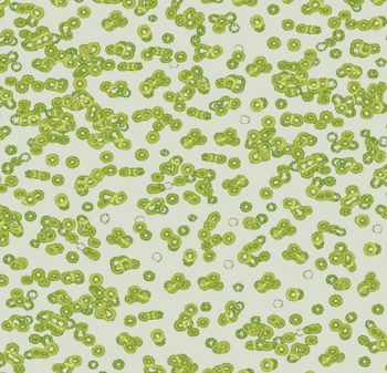 Wykładzina dywanowe FORBO 990203FR Bacteria Flotex Vision FR - Rolka - 3.3  mm
