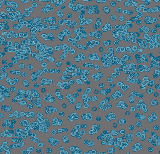 f783621435c1db225a677ef2f0f3a60d