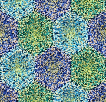 Wykładzina dywanowe FORBO 360001FR Blue anemone Flotex Vision FR - Rolka - 4.3  mm