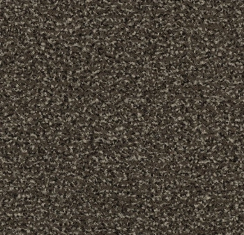 Mata wejściowa FORBO 4794FR Coral Classic FR taupe Coral FR - Rolka - 8  mm
