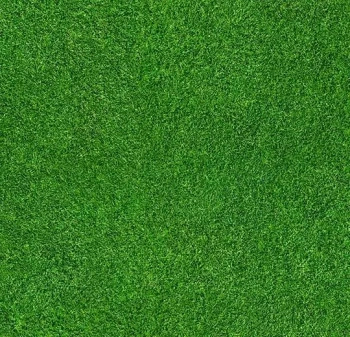Wykładzina dywanowe FORBO 000369FR Grass Flotex Vision Fr Biblioteka Cyfrowa - Rolka - 3.3  mm