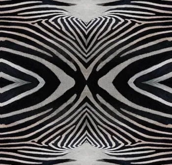 Wykładzina dywanowe FORBO 000402FR Zebra Flotex Vision Fr Biblioteka Cyfrowa - Rolka - 3.3  mm
