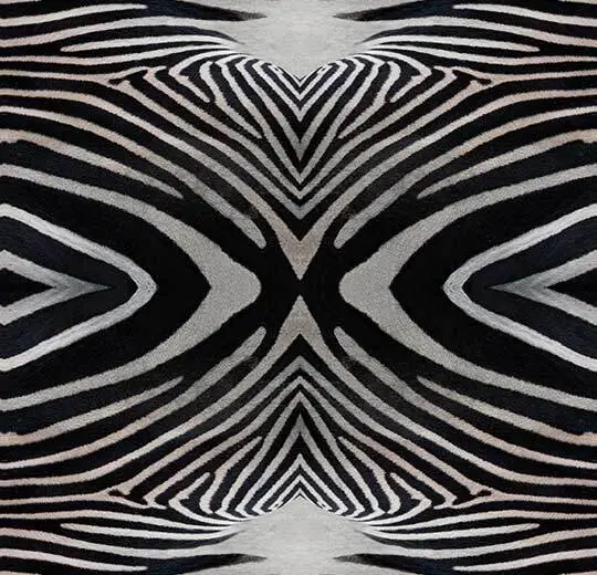 c01ee9f9a4b60ebe3d7e50de1b998660