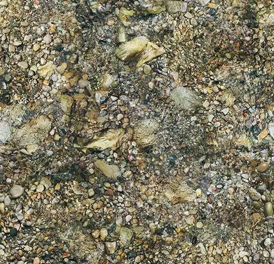 dae2acc7702291d8032fd9e265a8e8f8