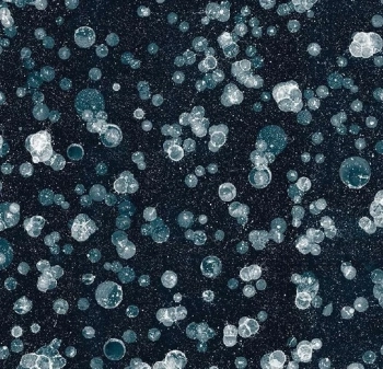Wykładzina dywanowe FORBO 001592FR Starwalk Jade Flotex Vision Fr Biblioteka Cyfrowa - Rolka - 3.3  mm