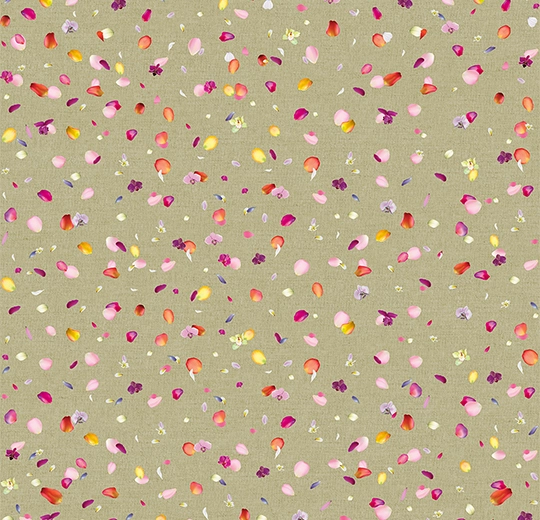 c362e37ffc12c79b225f72f48f12cdd1