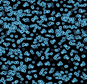 Wykładzina dywanowe FORBO 990105FR Bacteria Flotex Vision Fr Biblioteka Cyfrowa - Rolka - 3.3  mm