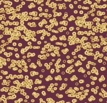 Wykładzina dywanowe FORBO 990501FR Bacteria Flotex Vision Fr Biblioteka Cyfrowa - Rolka - 3.3  mm