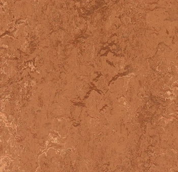 Wykładzina linoleum FORBO 6R2767 Marmoleum Real FR^2 rust Marmoleum Fr^2 - Rolka - 2.5  mm