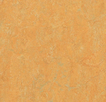 Wykładzina linoleum FORBO 6R3847 Marmoleum Real FR^2 golden saffron Marmoleum Fr^2 - Rolka - 2.5  mm