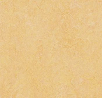 Wykładzina linoleum FORBO 6R3846 Marmoleum Fresco FR^2 natural corn Marmoleum Fr^2 - Rolka - 2.5  mm