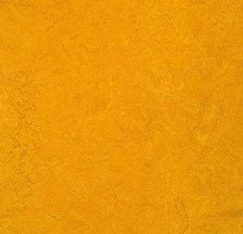 Wykładzina linoleum FORBO 6R3125 Marmoleum Fresco FR^2 golden sunset Marmoleum Fr^2 - Rolka - 2.5  mm