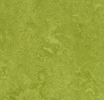 Wykładzina linoleum FORBO 6R3247 Marmoleum Fresco FR^2 green Marmoleum Fr^2 - Rolka - 2.5  mm