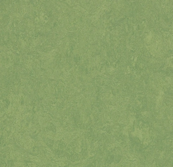 Wykładzina linoleum FORBO 6R3260 Marmoleum Fresco FR^2 leaf Marmoleum Fr^2 - Rolka - 2.5  mm