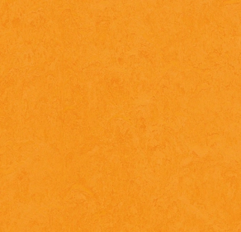 Wykładzina linoleum FORBO 6R3262 Marmoleum Fresco FR^2 marigold Marmoleum Fr^2 - Rolka - 2.5  mm