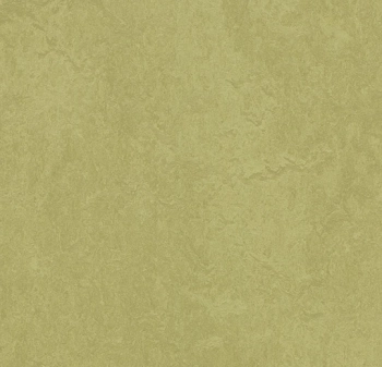 Wykładzina linoleum FORBO 6R3265 Marmoleum Fresco FR^2 avocado Marmoleum Fr^2 - Rolka - 2.5  mm