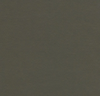 Wykładzina linoleum FORBO 6R3376 Marmoleum Walton FR^2 peat Marmoleum Fr^2 - Rolka - 2.5  mm