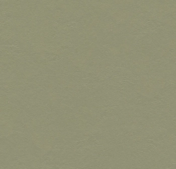 Wykładzina linoleum FORBO 6R3355 Marmoleum Walton FR^2 rosemary green Marmoleum Fr^2 - Rolka - 2.5  mm