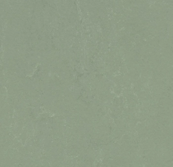 Wykładzina linoleum FORBO 6R3750 Marmoleum Concrete FR^2 pine forest Marmoleum Fr^2 - Rolka - 2.5  mm