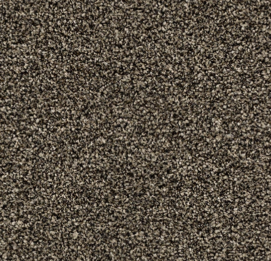 8af5b4a505e052eb47842c6444f82070