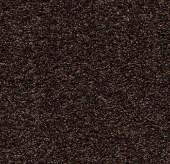 Mata wejściowa FORBO 2606 Fine peat Coral Bright - Rolka - 8.5  mm