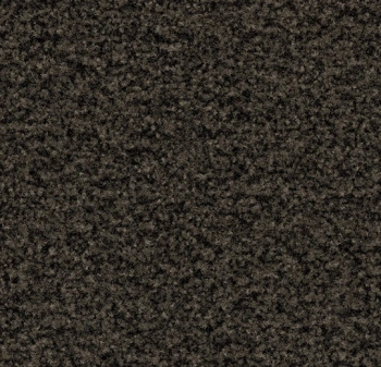 Mata wejściowa FORBO 5214 Granite brown Coral Brush - 9  mm