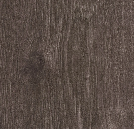 b5e08aaeccdea73b4e261f204c0b8509