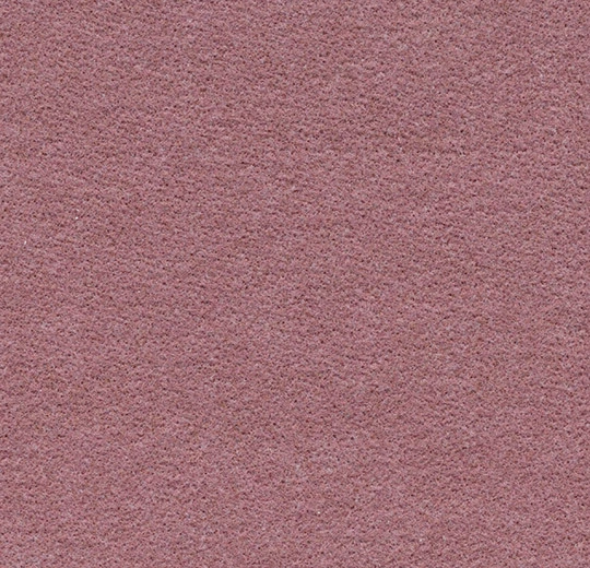 56a90abafab2f7dae026adf37a7aeae5