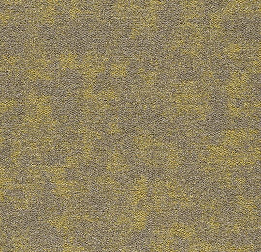 8ef53597dacbb8d0ea84ea4bf0403c93