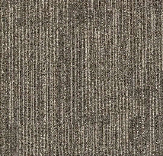 8fff32c1493711a583a0b42e166dcddb