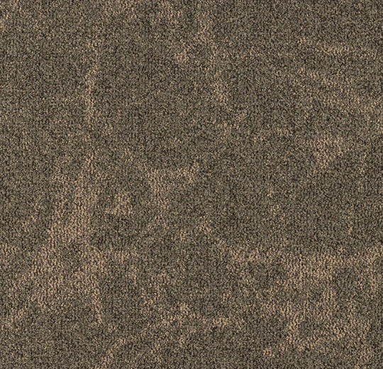 acd2116d81ed20773f3a514e1f6865f6