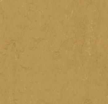 Wykładzina linoleum FORBO t3768 Linseed Marmoleum Modular Accent w płytkach - Płytka - 500 mm - 500 mm - 2.5  mm