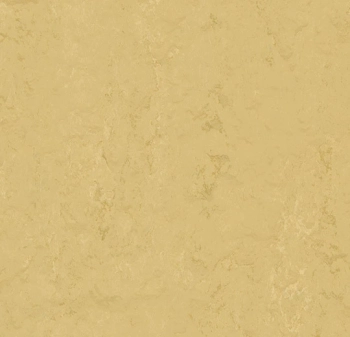 Wykładzina linoleum FORBO t3774 Corn silk Marmoleum Modular Accent w płytkach - Płytka - 500 mm - 500 mm - 2.5  mm