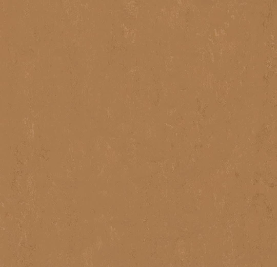 fe3ee528a05456a4ba9e7318c5dcf55b