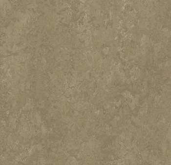 Wykładzina linoleum FORBO t3252 Sparrow Marmoleum Modular Neutral w płytkach - Płytka - 500 mm - 500 mm - 2.5  mm