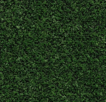 Mata wejściowa FORBO 5708 Avocado green Coral Brush - 9  mm