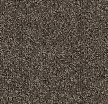 Mata wejściowa FORBO 4764 Taupe Coral Classic - 9  mm