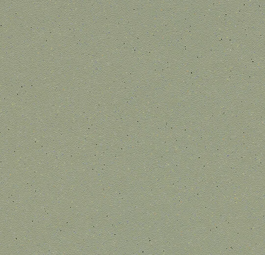 8658b19f96a5d13c9849129e28de4169