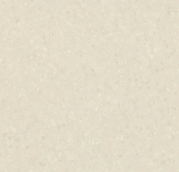 Wykładzina PVC FORBO 50022 Shell Sphera Element - Rolka - 2  mm