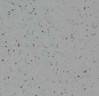 Wykładzina PVC FORBO 50959 Oyster shell Sphera Elite B+ - Rolka - 2  mm