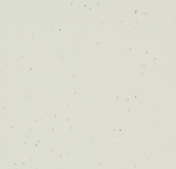 Wykładzina PVC FORBO 50255 Snow Sphera Energetic - Rolka - 2  mm