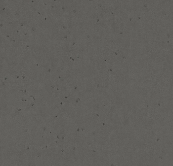Wykładzina PVC FORBO 50250 Ebony Sphera Energetic - Rolka - 2  mm