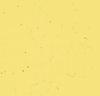 Wykładzina PVC FORBO 50261 Banana Sphera Energetic - Rolka - 2  mm