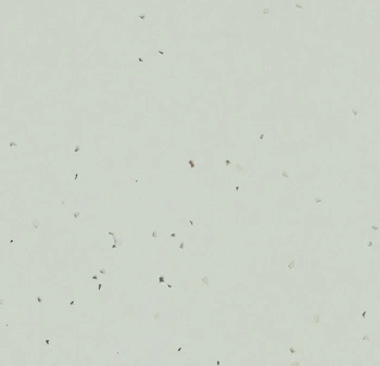 Wykładzina PVC FORBO 50253 Swedish grey Sphera Energetic - Rolka - 2  mm