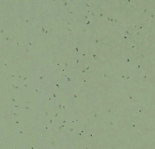 40fe037d4d2c761c662bbdcc50747526