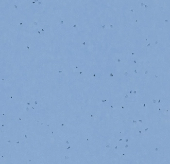 Wykładzina PVC FORBO 50268 Blue sky Sphera Energetic - Rolka - 2  mm